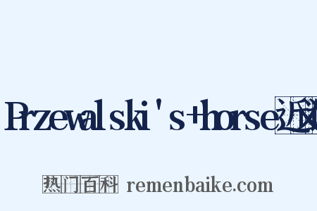 Przewalski's+horse近义词是什么意思的图片